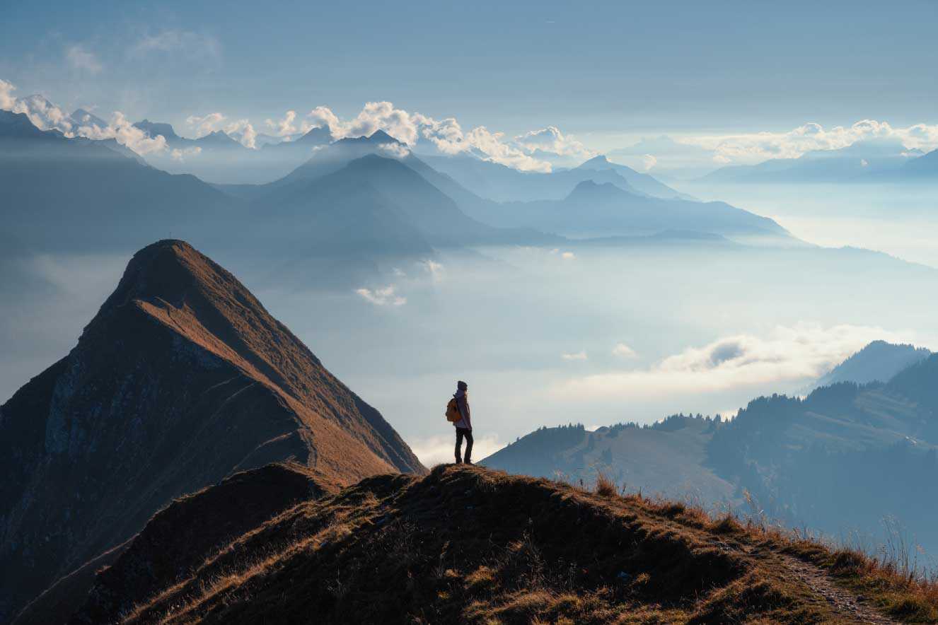 Private markets payouts rise in 2025