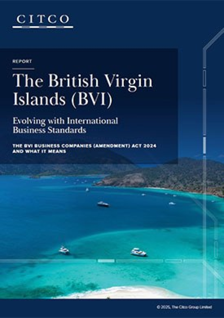 BVI 2025 report